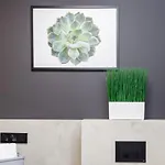 Wellness With Parking By Renters Prestige Διαμέρισμα *